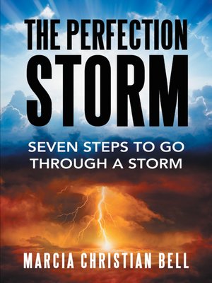 cover image of The Perfection Storm